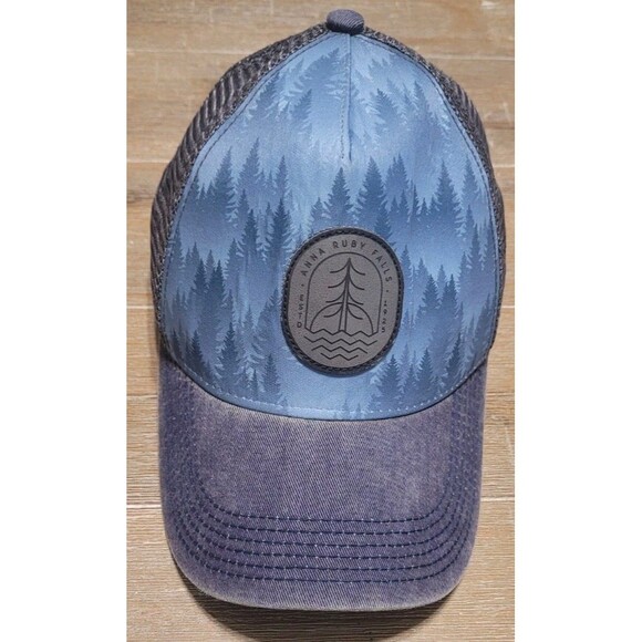 Anna Ruby Falls Hat Helen Georgia Mountains Waterfall Gray Cap Snapback - Picture 1 of 6